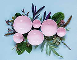 Эффективность взлома сетей моделью Claude Opus выросла до 81% за один год