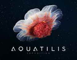 Гаджеты недели 6 апреля 2026 года