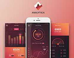 Почему кот смотрит на вас и медленно моргает Признаки кошачьего счастья