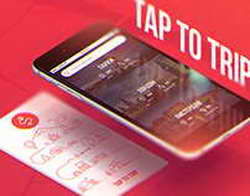Почему нет птиц размером со слона, хотя гиганты существовали