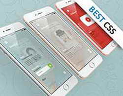 Schiaparelli и китайский стиль: 77-летняя Ирина Винер выгуляла два модных образа