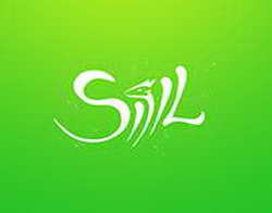 В Петербурге высадили первые весенние цветы