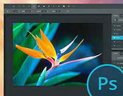 Google запустил Gemini в Таблицах для миллионов пользователей: поддержка трёх десятков языков, включая русский