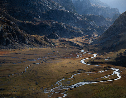 Вероника Степанова вышла замуж за своего бывшего мужа после 30 лет отношений с ним